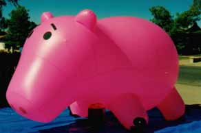 giant pig helium balloon - great for smaller parades.